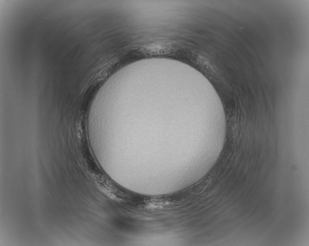 X0000063440746200602171830