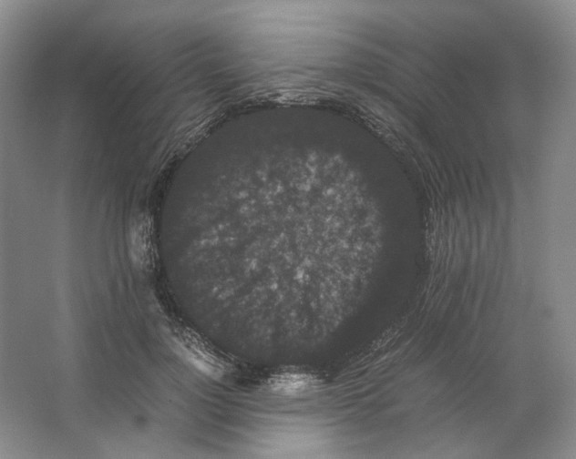 X0000063440748200602171830