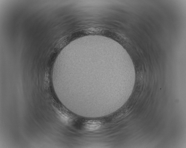 X0000063440749200602171830