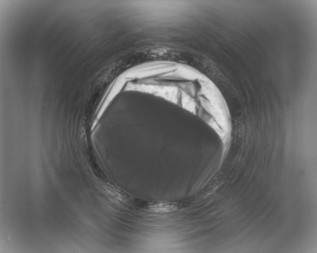 X0000063440754200602171830