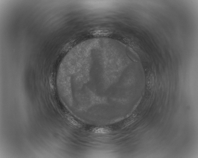 X0000063440755200602171830