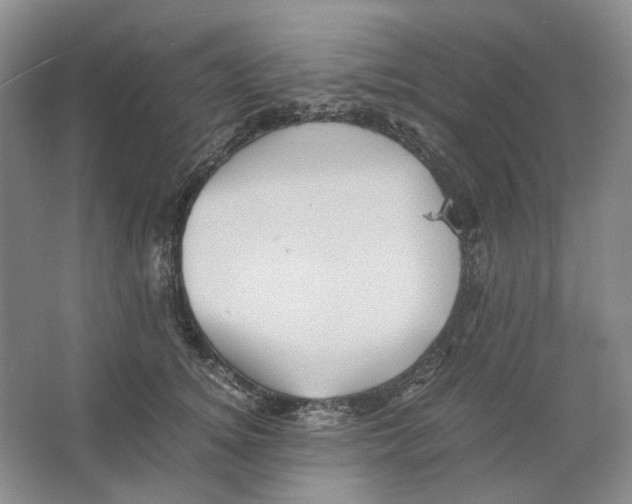 X0000063440756200602171830