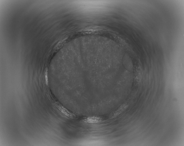 X0000063440758200602171830