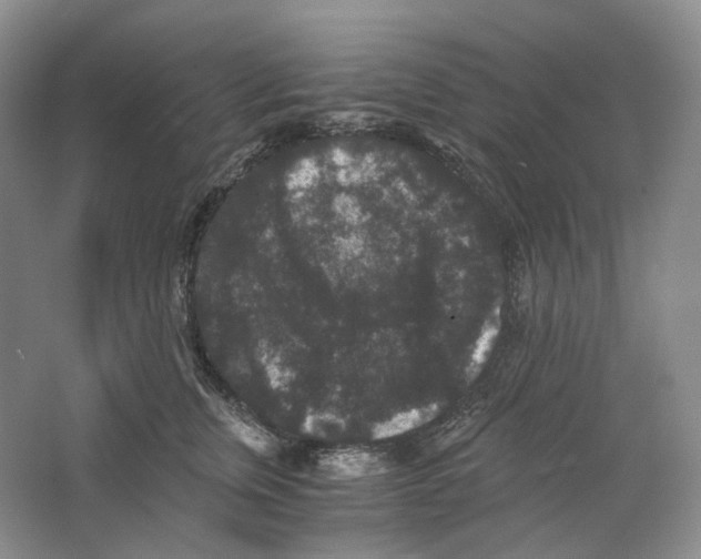 X0000063440759200602171830