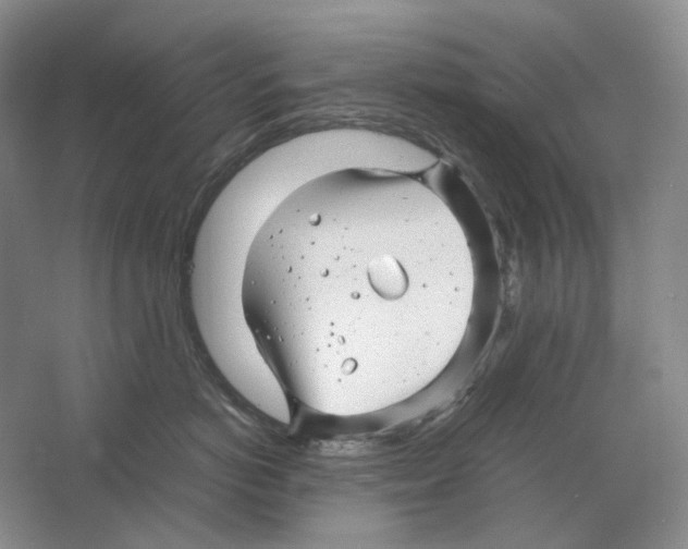 X0000063440766200602171830