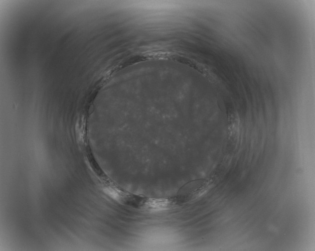 X0000063440767200602171830