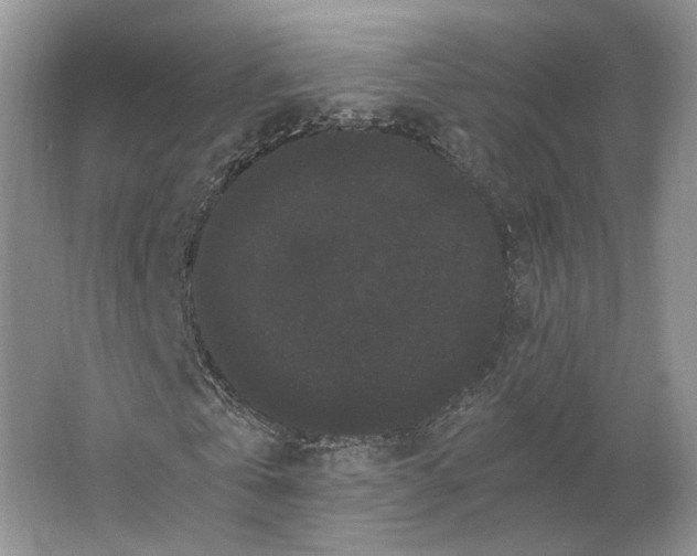 X0000063440769200602171829