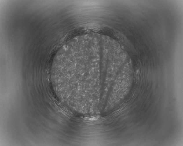X0000063440772200602171829