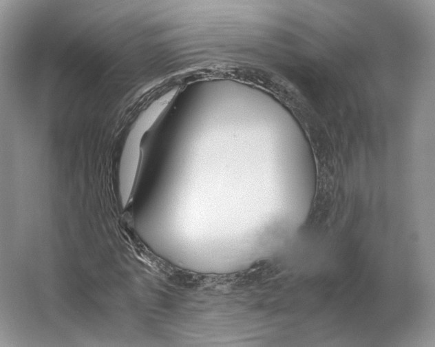 X0000063440773200602171829