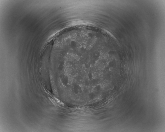 X0000063440775200602171829