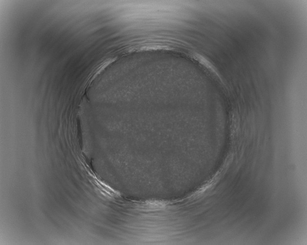 X0000063440777200602171829