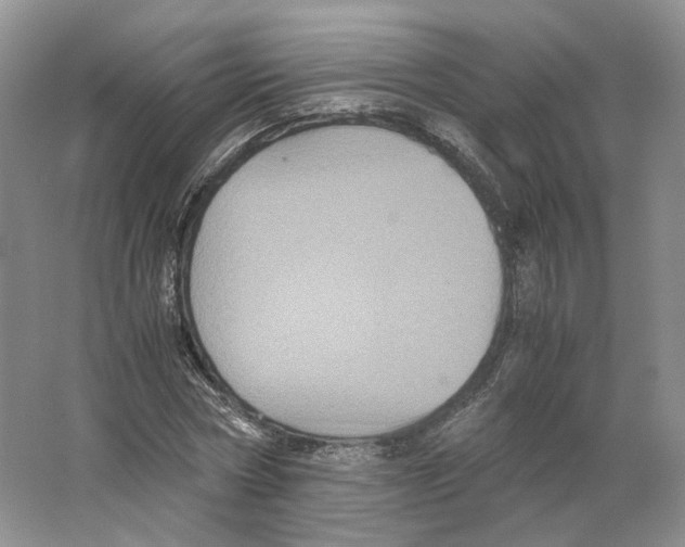 X0000063440778200602171829