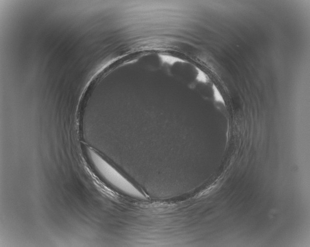 X0000063440779200602171829