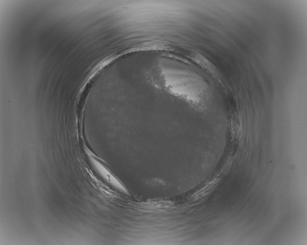 X0000063440781200602171829