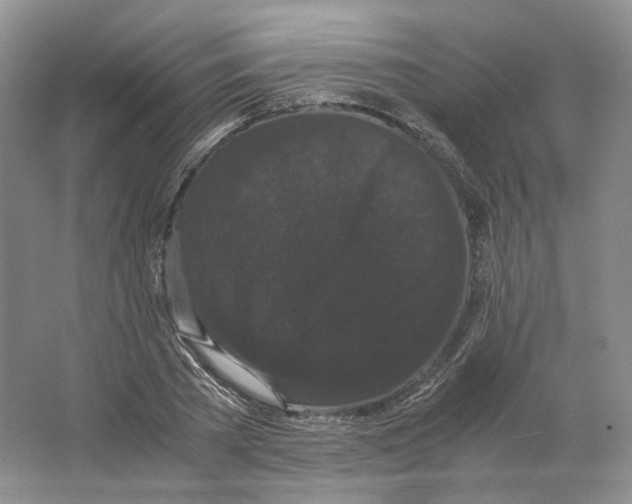 X0000063440785200602171829