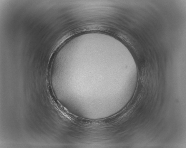 X0000063440786200602171829
