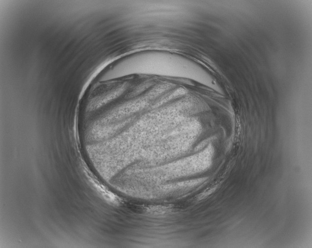 X0000063440788200602171829