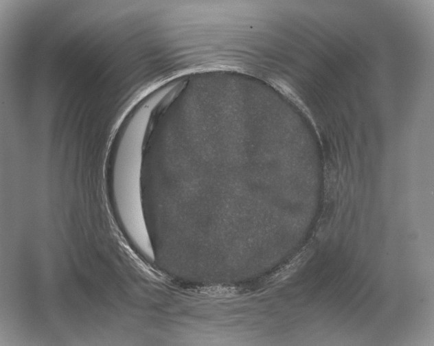 X0000063440789200602171829