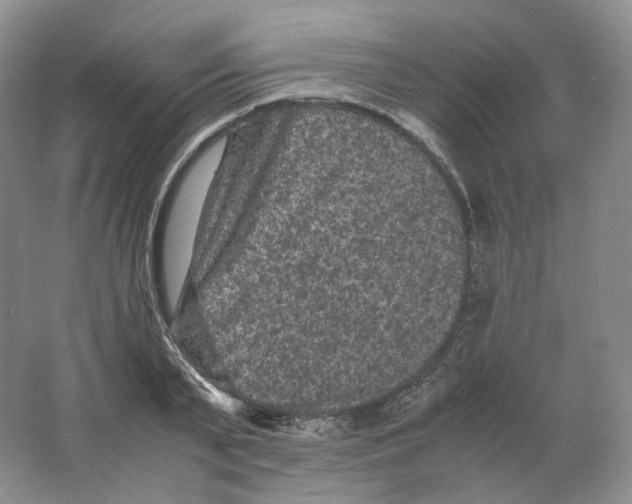 X0000063440791200602171829