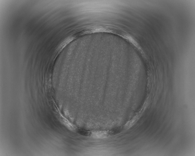 X0000063440793200602171829