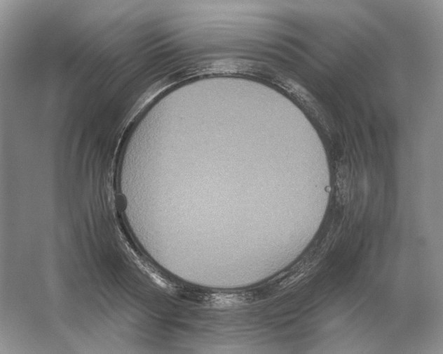X0000063440794200602171829