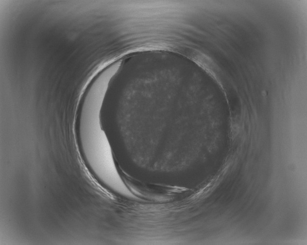 X0000063440797200602171829