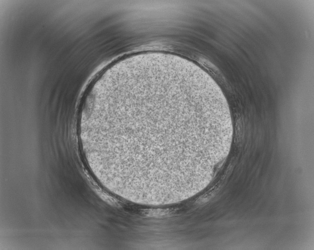 X0000063440800200602171829