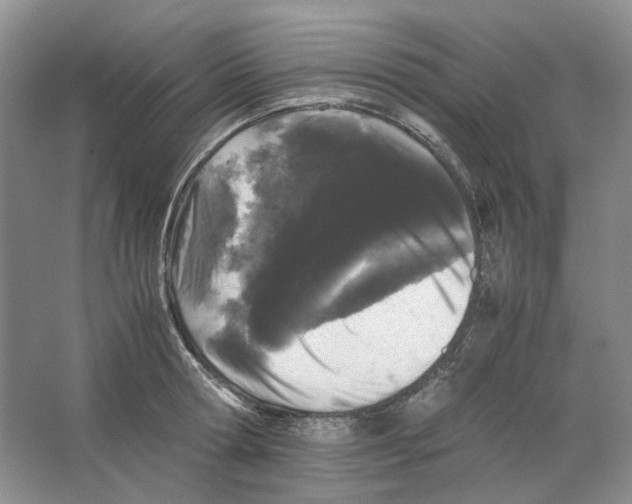 X0000063440802200602171829