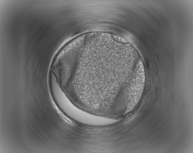 X0000063440803200602171829