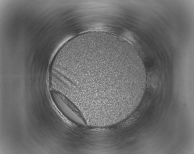X0000063440804200602171829