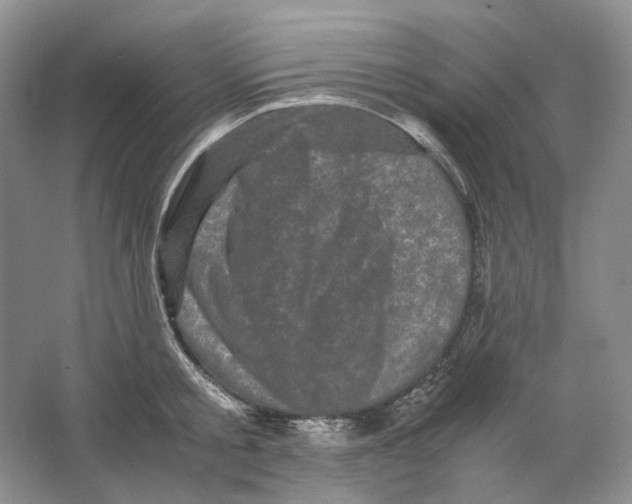 X0000063440805200602171829