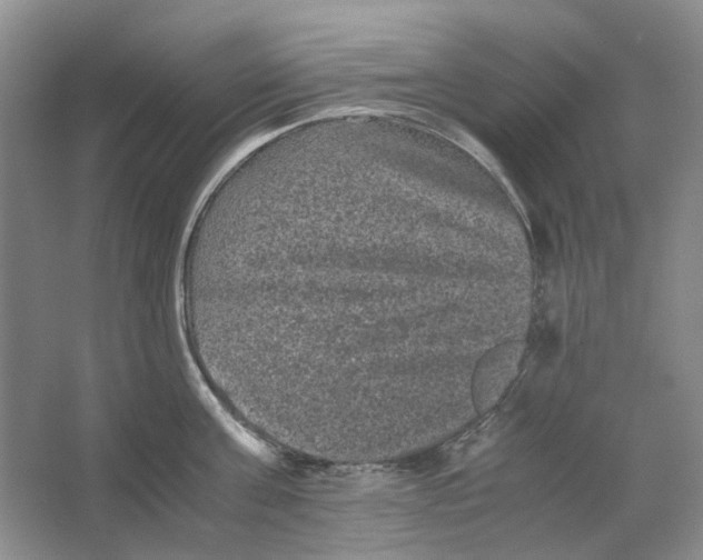 X0000063440811200602171828