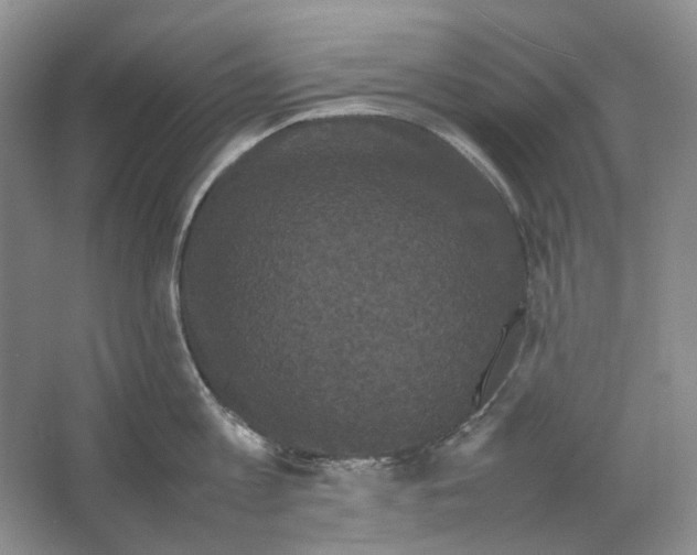 X0000063440813200602171828