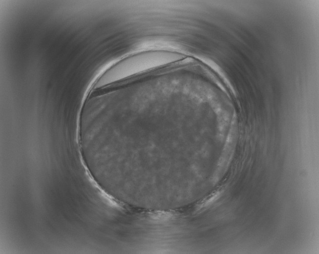 X0000063440815200602171828