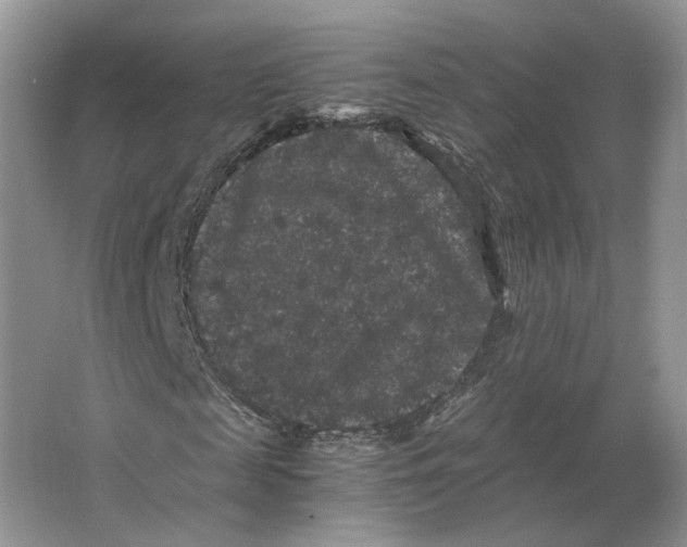 X0000063440817200602171827