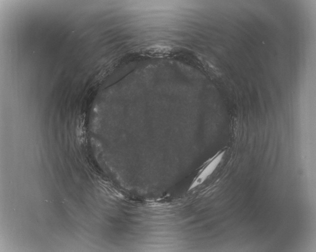 X0000063440818200602171827