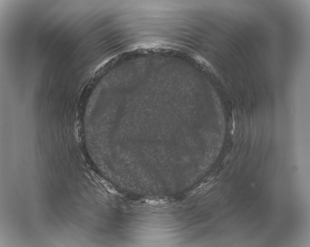 X0000063440822200602171828