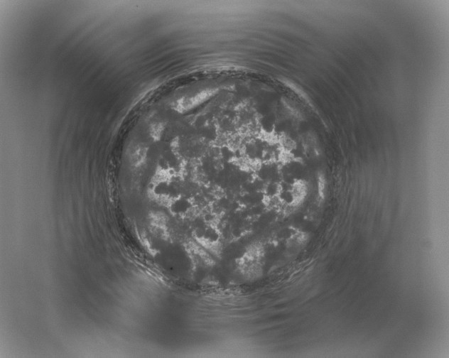 X0000063440823200602171828