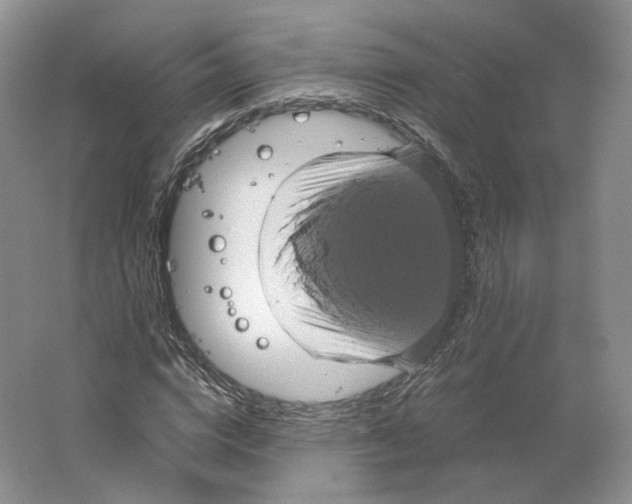 X0000063440824200602171828