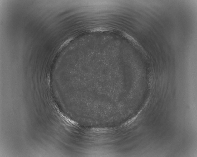 X0000063440825200602171828