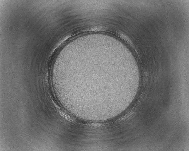 X0000063440827200602171828