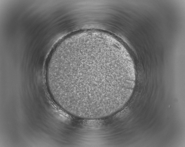 X0000063440832200602171828