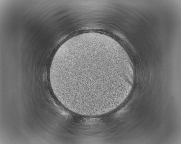 X0000063440833200602171828