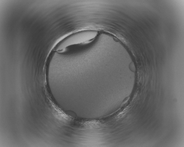 X0000063440838200602171828