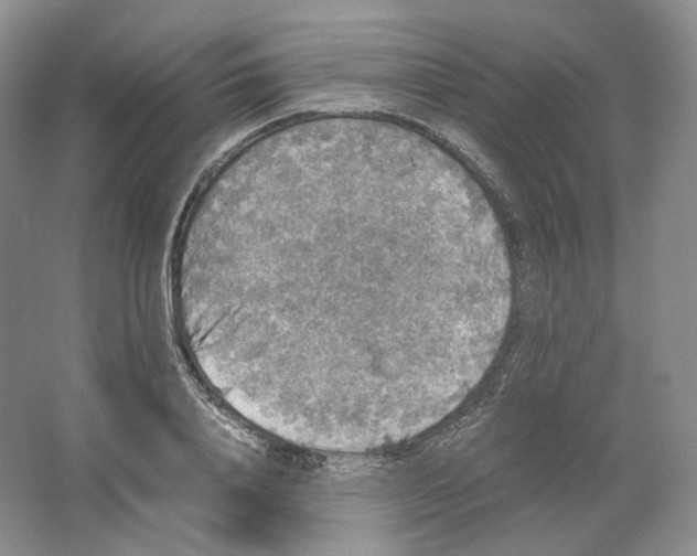 X0000063440840200602171828