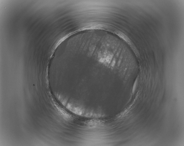 X0000063440842200602171828