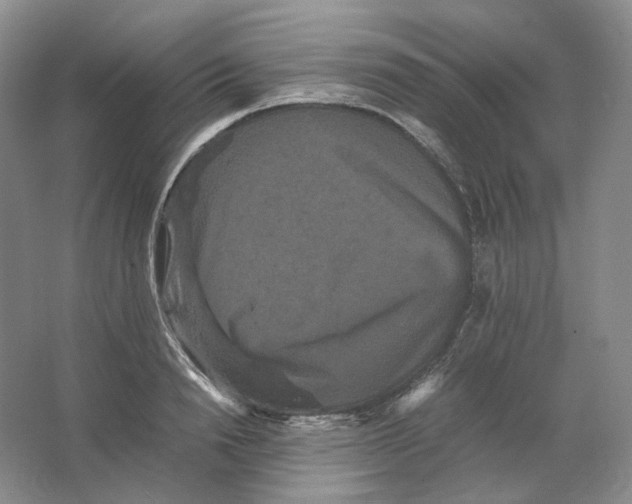 X0000063440846200602171828