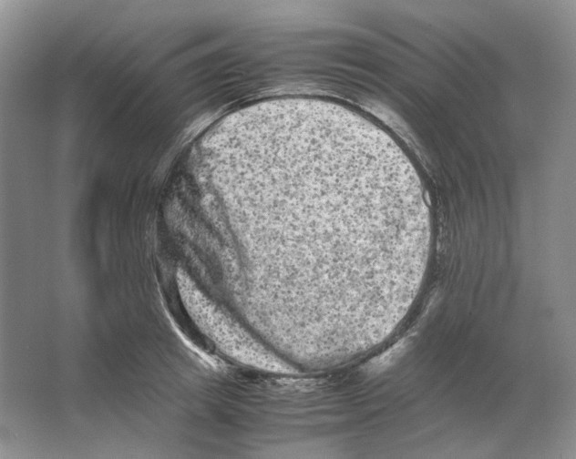 X0000063440849200602171828