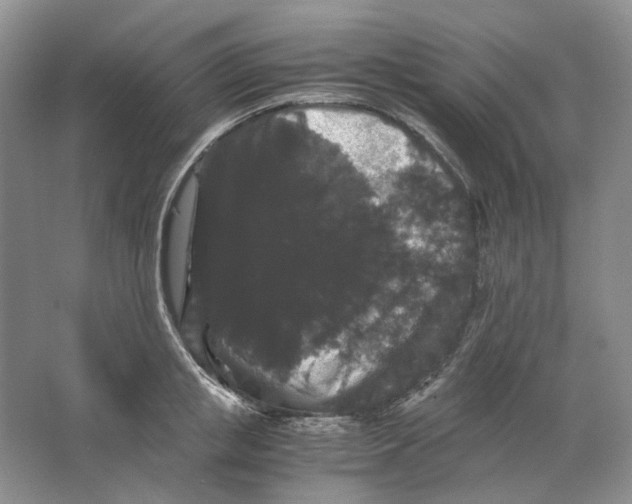X0000063440853200602171828
