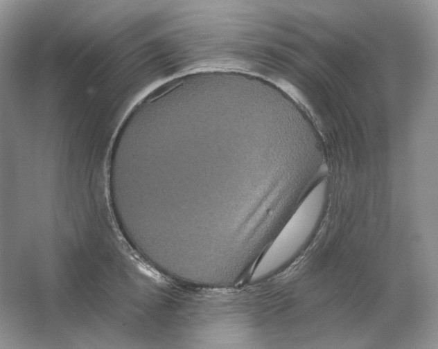 X0000063440854200602171828